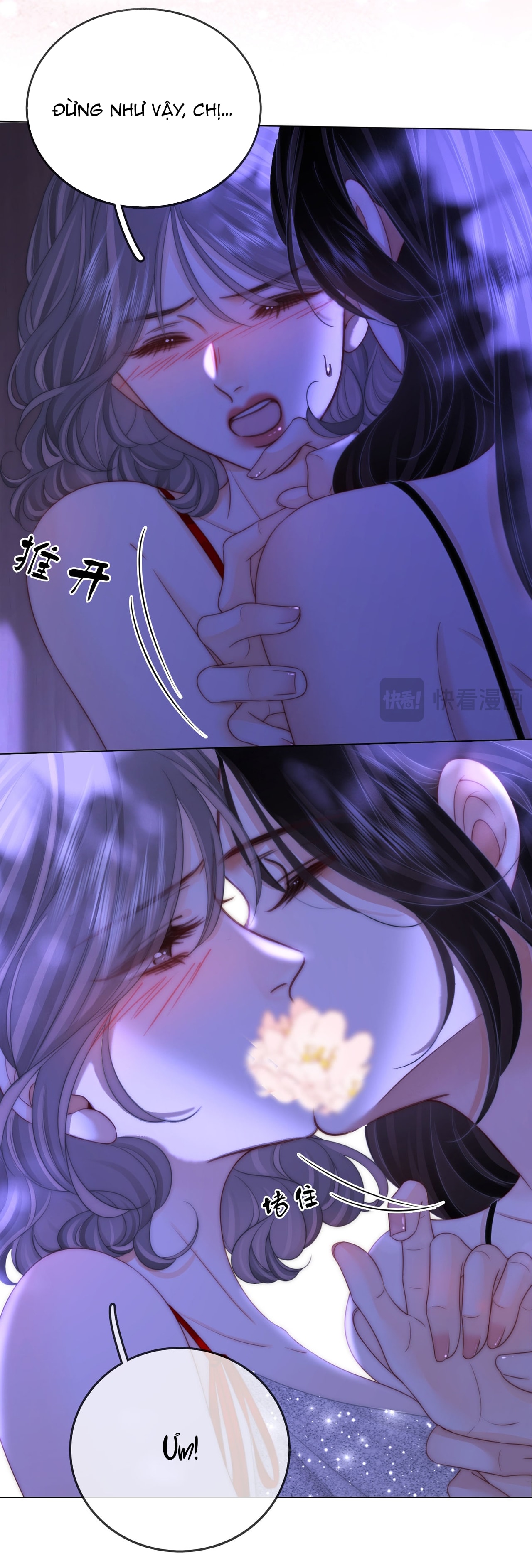 cố tiểu thư và khúc tiểu thư chapter 133 17