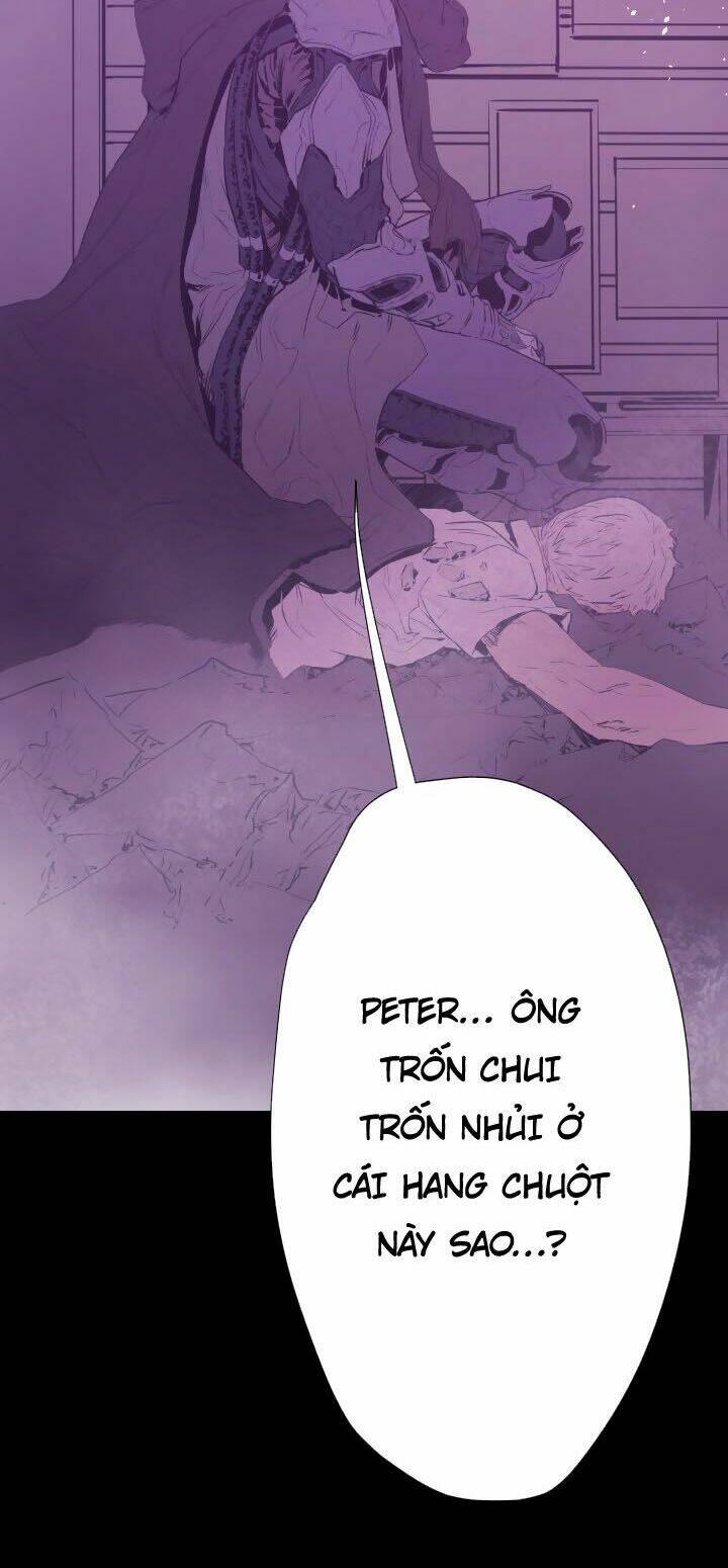 balance chapter 13 5