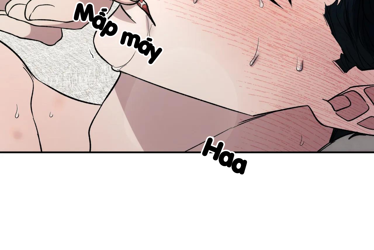 ám ảnh pheromone chapter 35 70