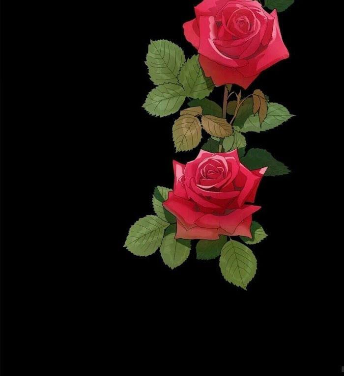 công chúa thời gian có hạn chapter 51 53