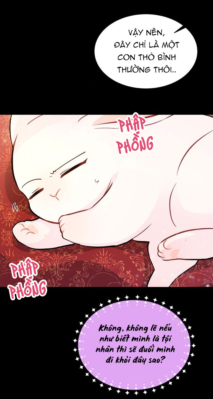 mối liên kết giữa báo đen và bé thỏ chapter 2 37