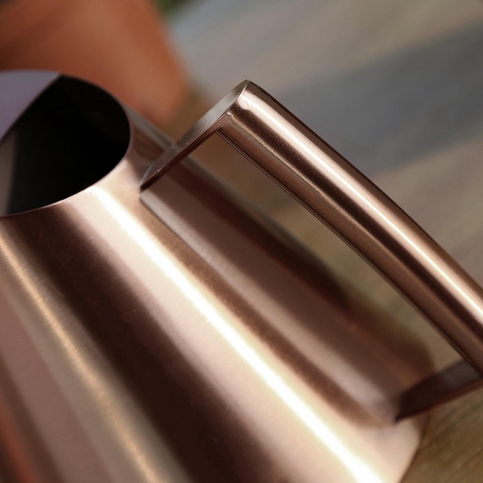 Small Indoor Watering Can for House Plants Stainless Steel Watering Pot with Long Spout