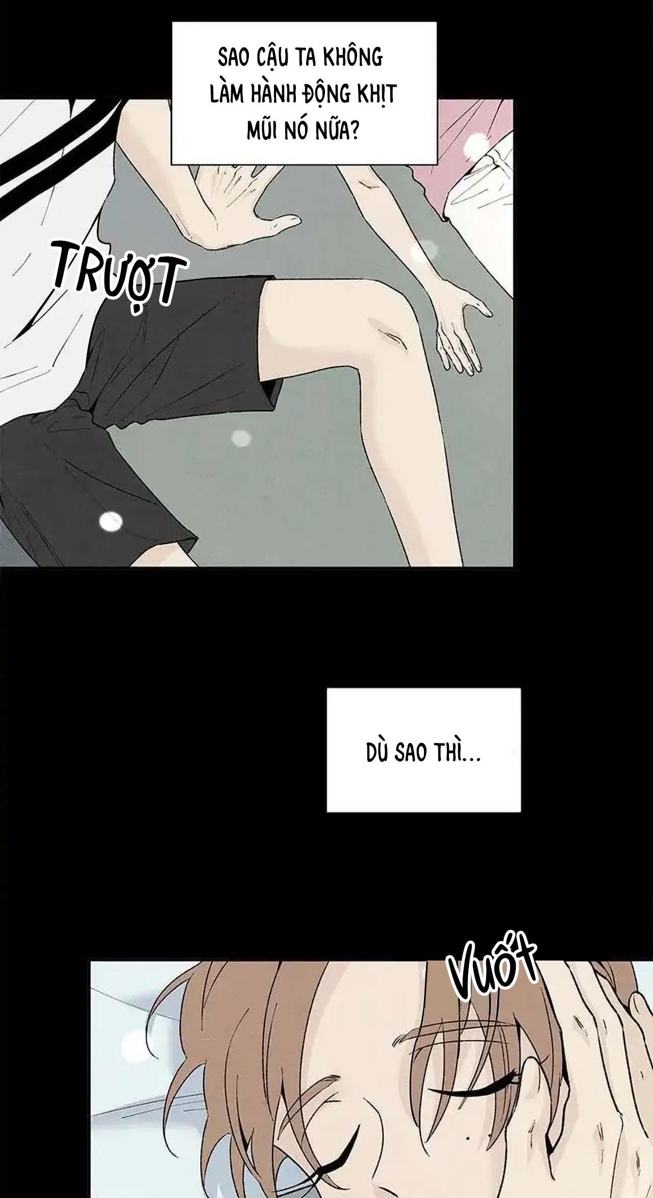 bona sort chapter 53 23