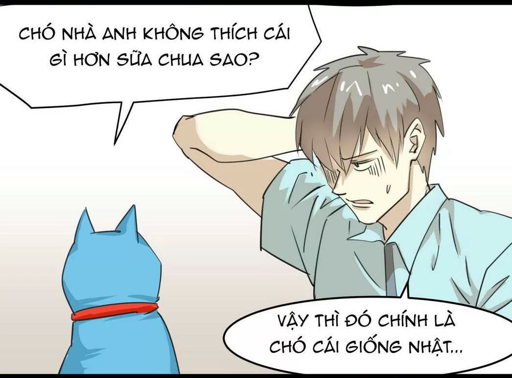 một con chó chapter 51 11
