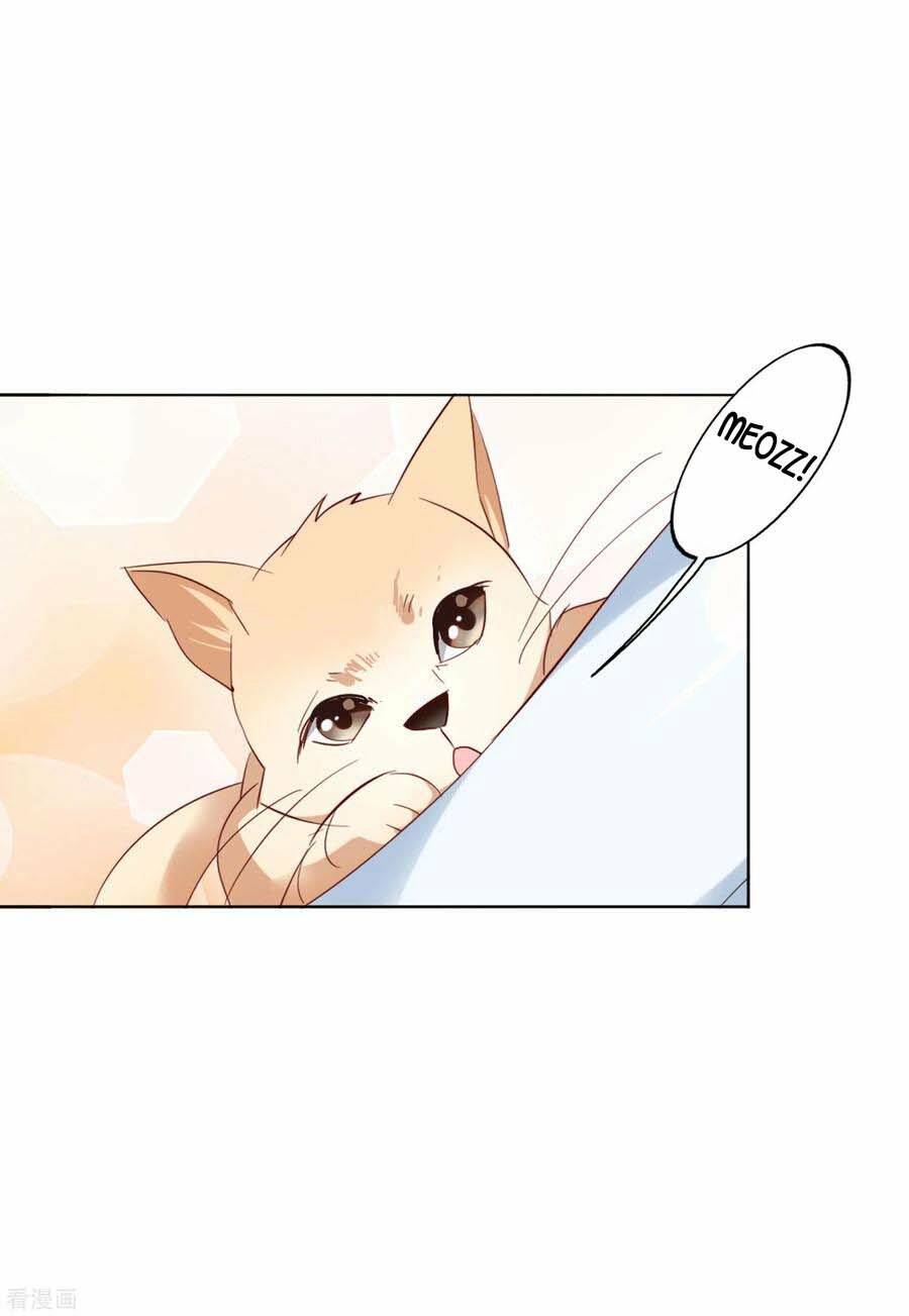 cô ấy đến rồi, xin nằm xuống! chapter 69 23