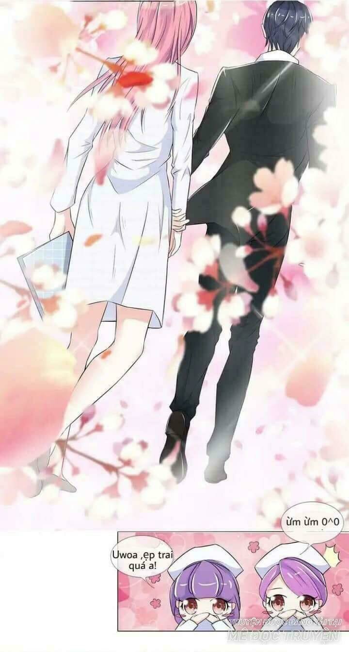 kiều thê tại thượng - tổng tài bạo ác yêu điên cuồng chapter 4 6