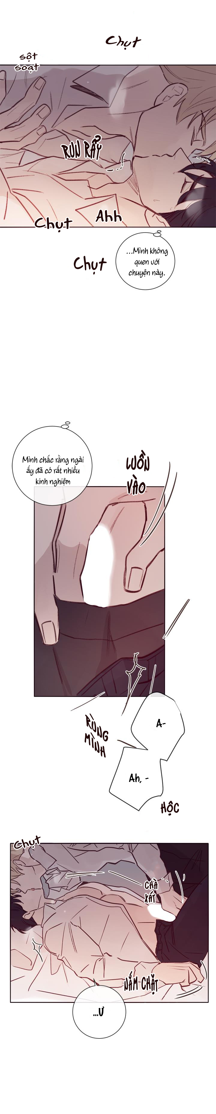 độc dược (marcel) chapter 8 2