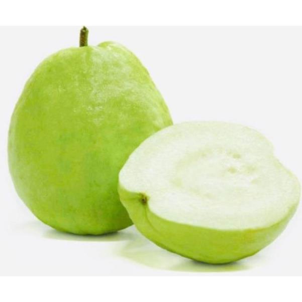 Cây Ổi Nữ Hoàng