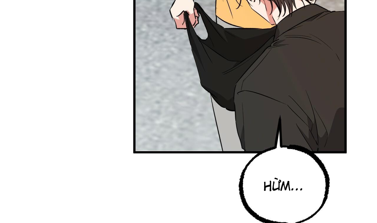 đàn thỏ của habibi chapter 56 137