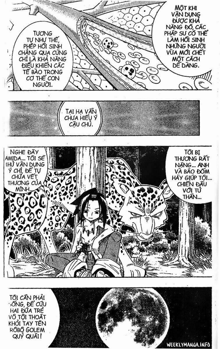 vua pháp thuật chapter 195 16