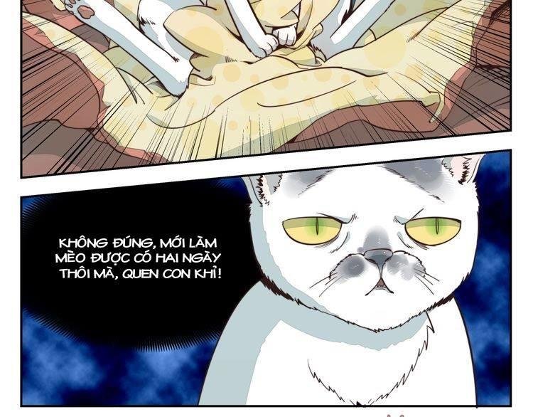 thời khắc ấy, chúng ta gặp nhau chapter 8 4