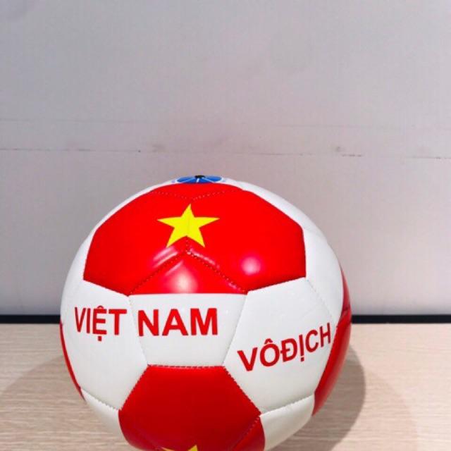 Bóng số 5 Việt nam vô địch
