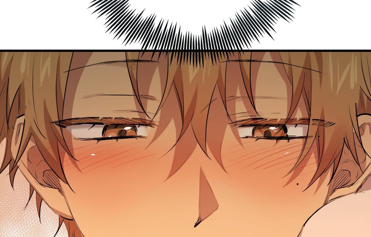 đàn thỏ của habibi chapter 26 248