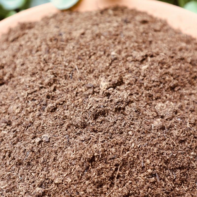 Peatmoss - Peatman túi 600gr | Rêu than bùn dùng ươm cây, hỗ trợ trồng cây