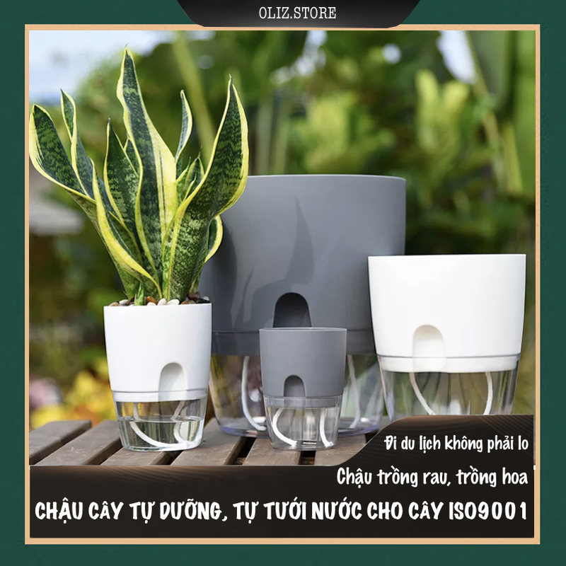 Chậu trồng cây thông minh A7. Có chức năng tự tưới nước cho cây