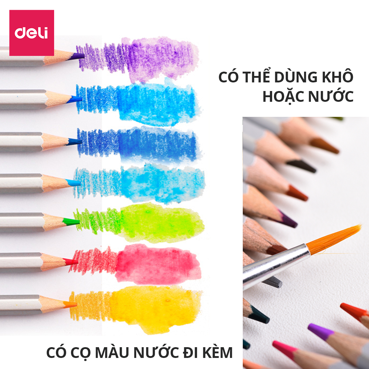 Bút chì màu nước cao cấp Deli - Có kèm cọ tán - Bộ 24/36/48 màu - 6521/6522/6523