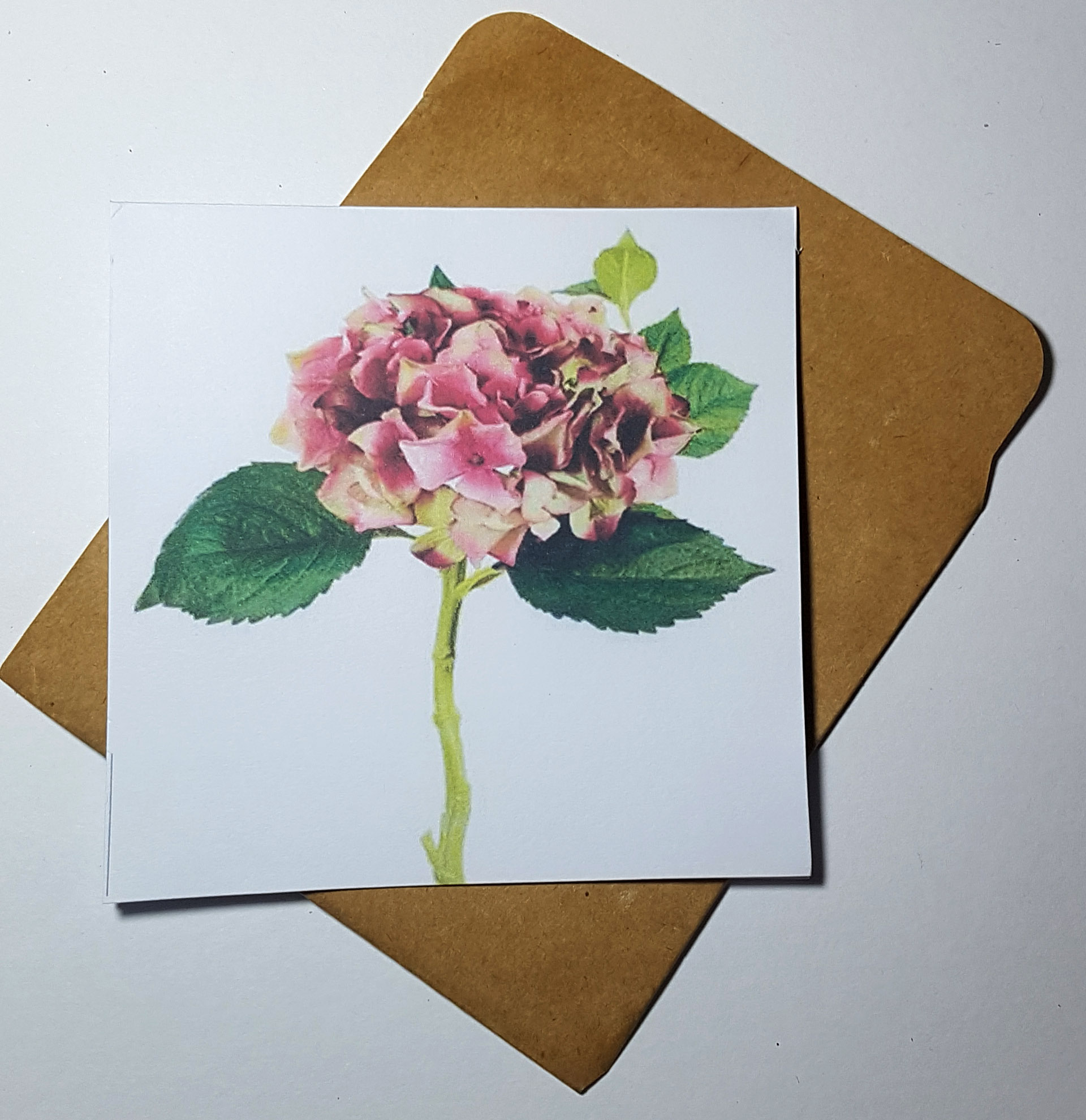 Thiệp phong cách Vintage card quà cám ơn ,chúc mừng sinh nhật và giử tặng người thân yêu