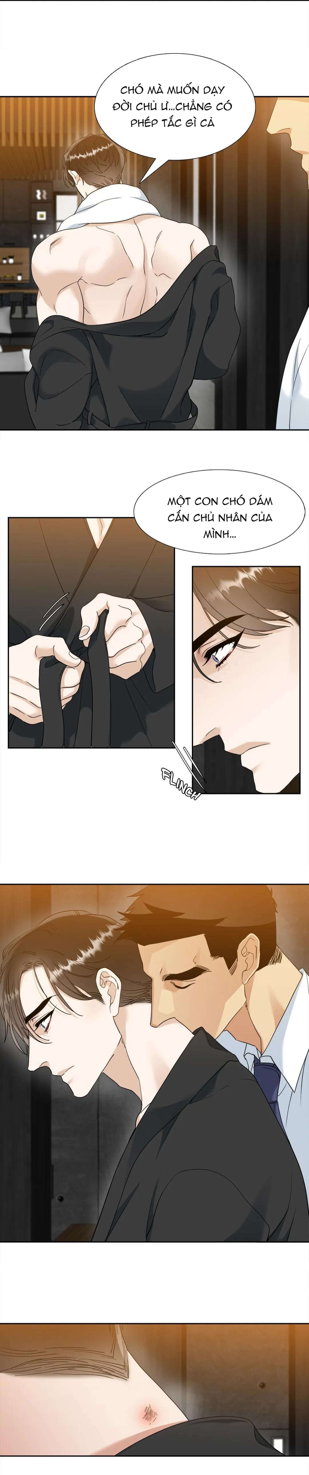 xúc cảm điên cuồng chapter 42.2 1