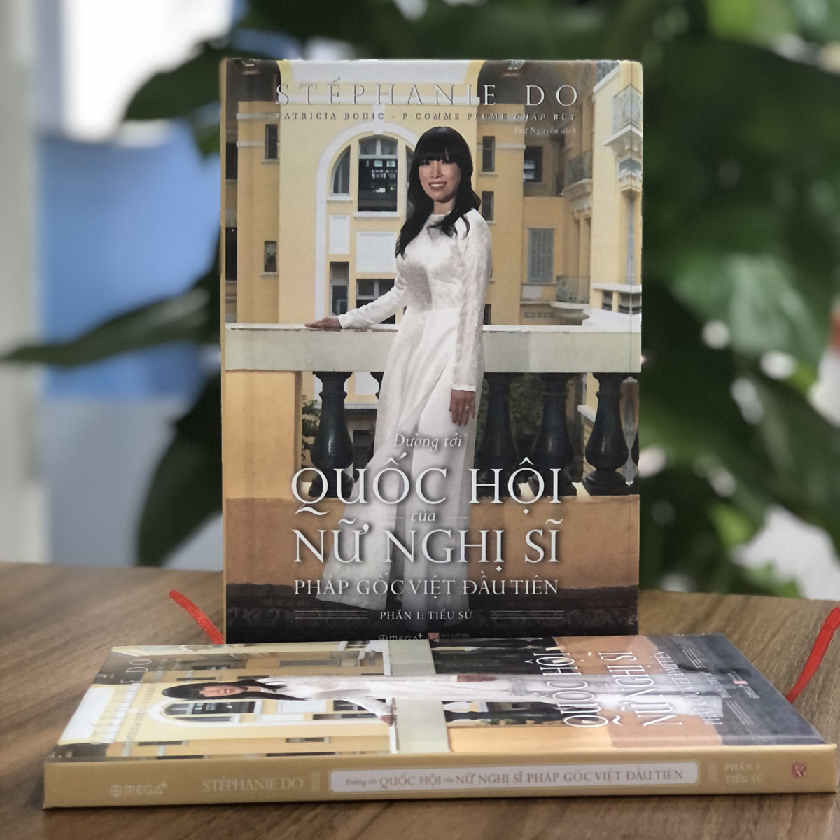 Sách - Đường Tới Quốc Hội Của Nữ Nghị Sĩ Pháp Gốc Việt Đầu Tiên - Phần 1: Tiểu Sử