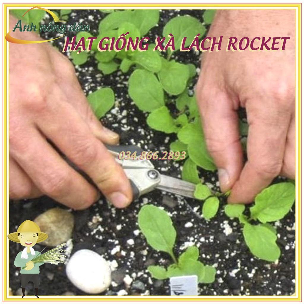 Gói 2gr Hạt giống rau xà lách rocket, rau arugula F1 cao sản chất lượng cao
