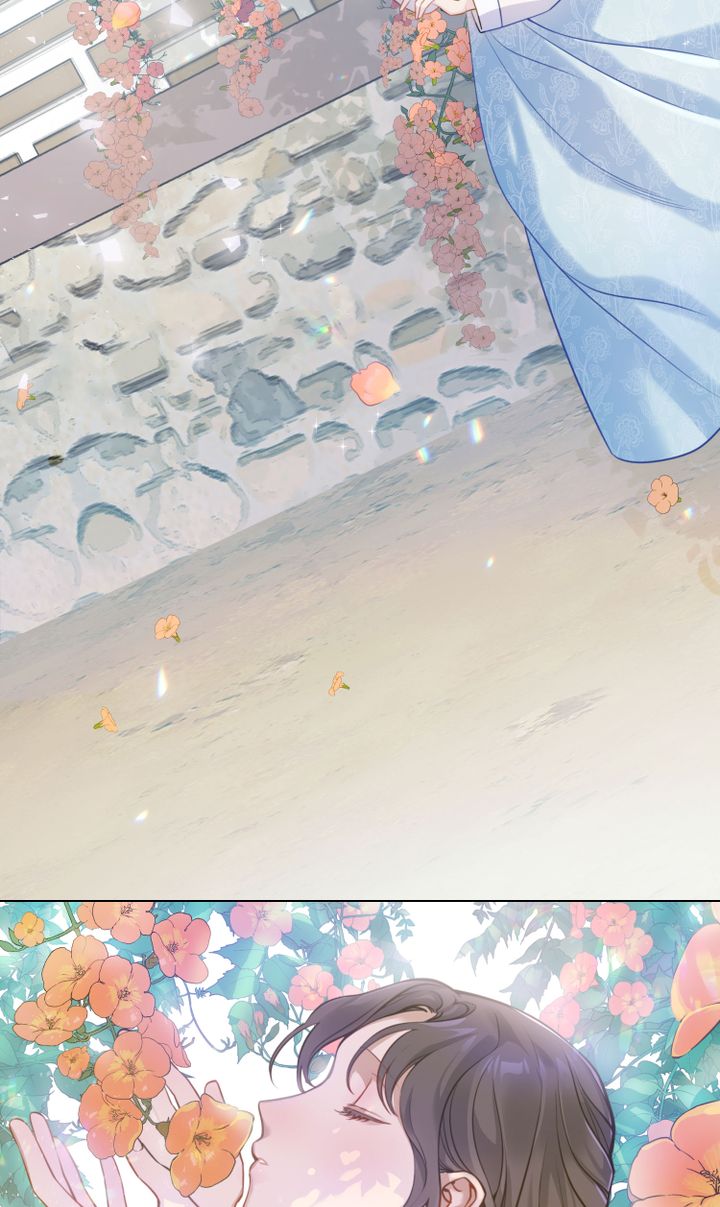 khi những nụ hoa nở rộ chapter 1 57