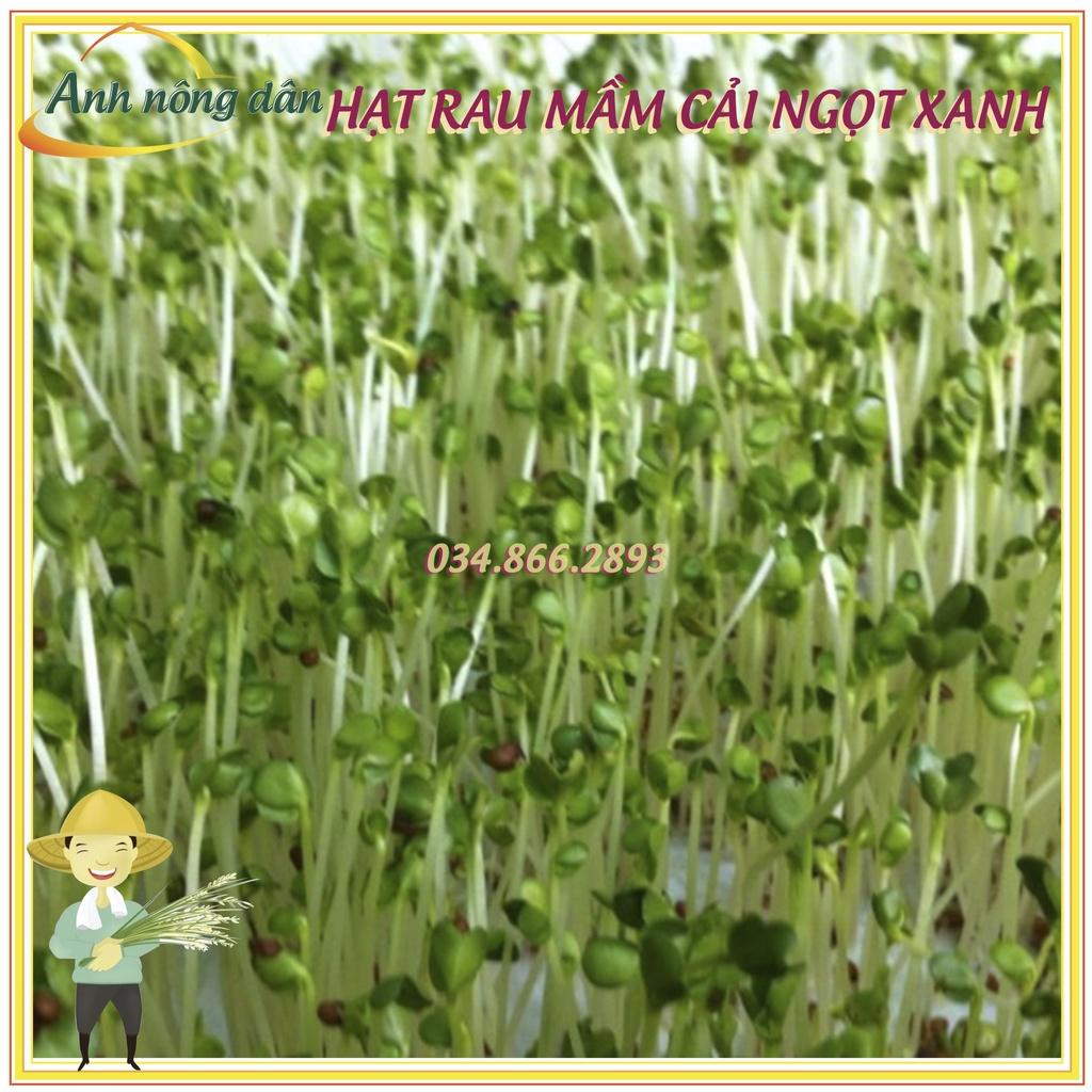 Set 3 Gói 50g Hạt rau mầm rau cải ngọt Xanh - Hạt rau mầm giá rẻ, nảy mầm đồng đều