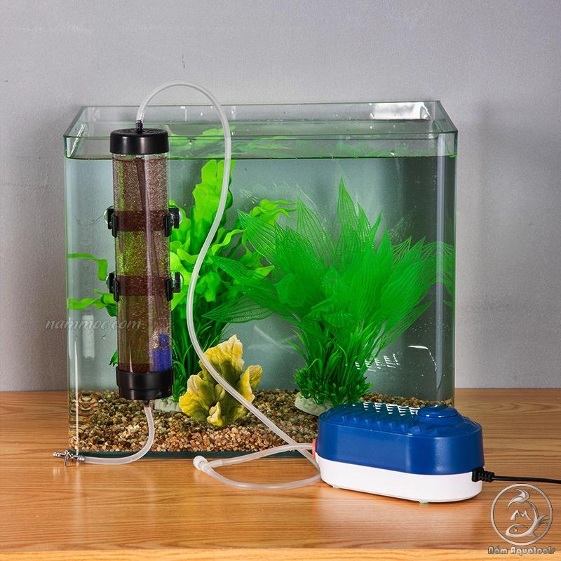 Lồng Ấp / Lò Ấp Trứng Artemia / Incubator for Brine Shrimp