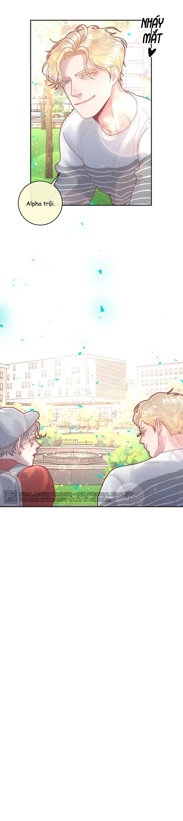 làm cách nào để theo đuổi một alpha? chapter 28 16