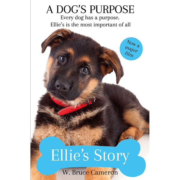 Ellie's Story