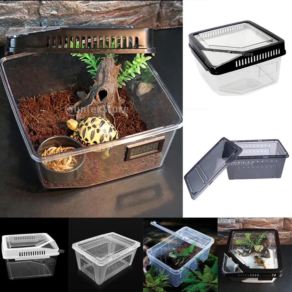 Insect Spider Snake Reptile Transport Breeding Feeding Case 25x17.5x11cm
