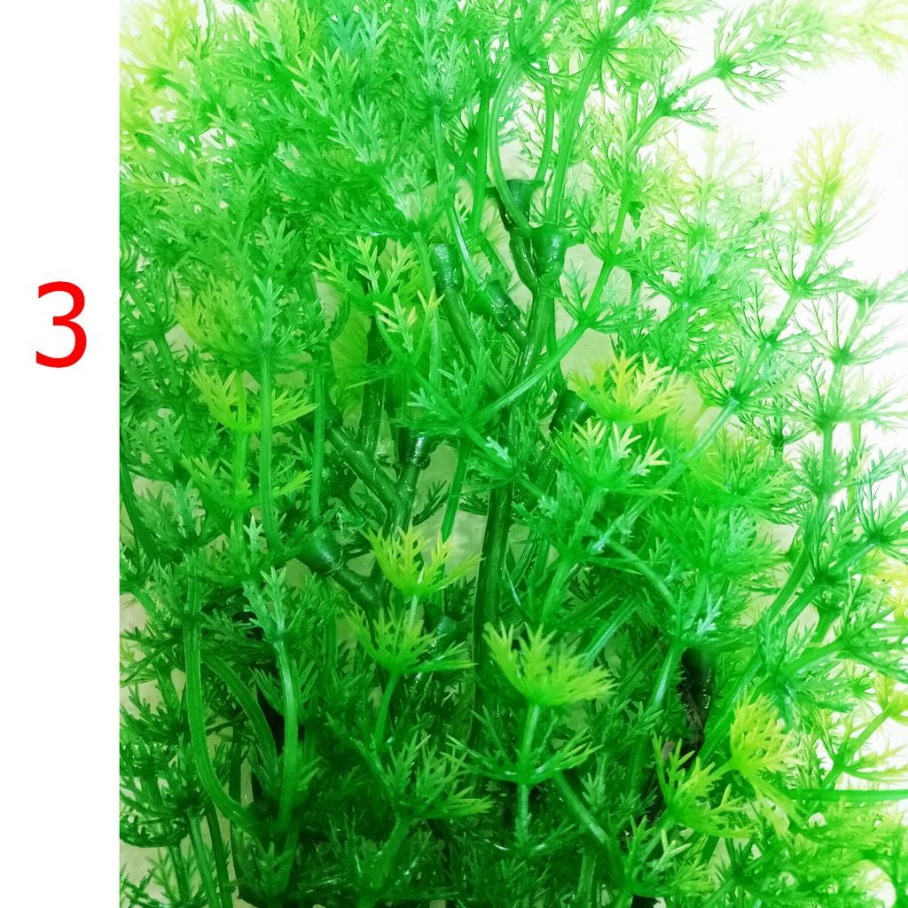 Cây Trang Trí Bể Cá Size Lớn - Đồ Trang Trí Hồ Cá