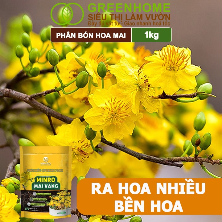 Phân Bón Hoa Mai Greenhome, Minro, Bao 1kg, Hữu Cơ, Dưỡng Cây, Bung Chồi, Mượt Lá, Khoẻ Rễ, Bền Hoa