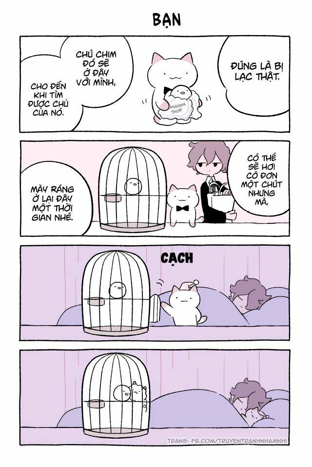 chú mèo kỳ diệu kyuu-chan chapter 544 2