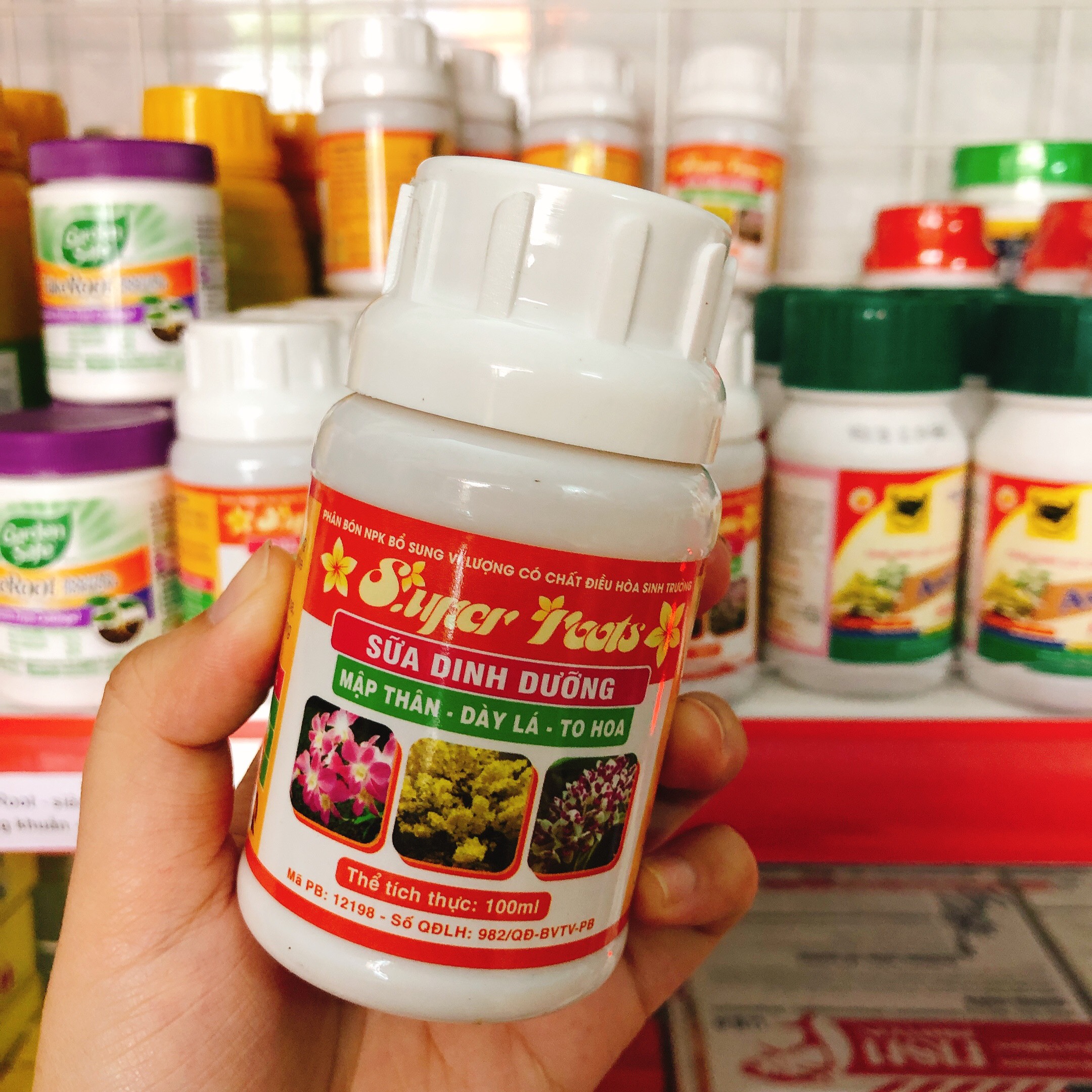 Sữa Dinh Dưỡng SUPER ROOTS - 100 ml