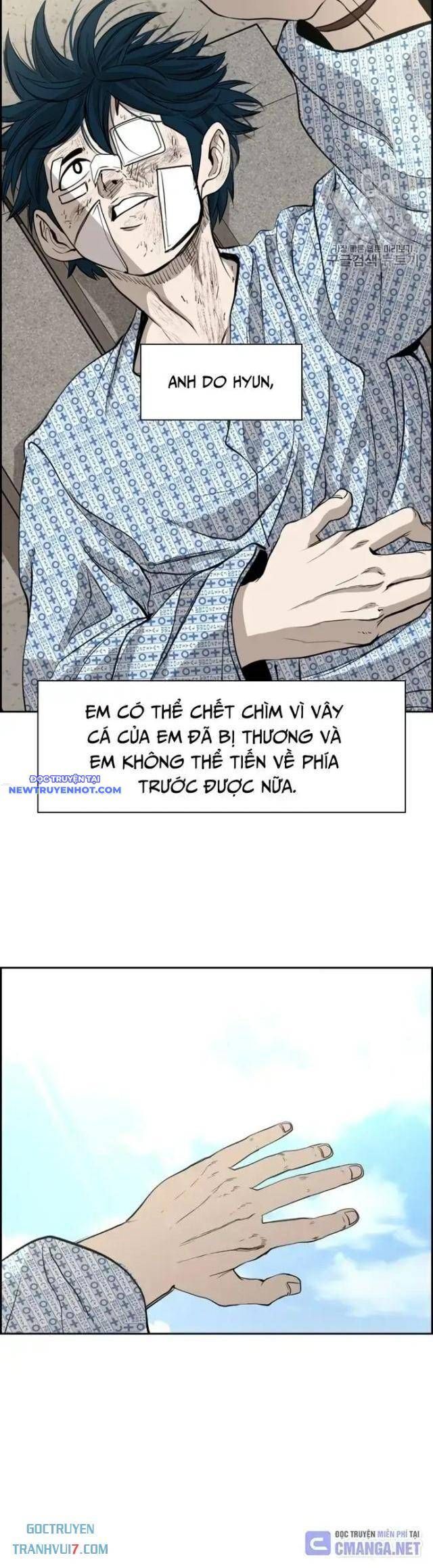 shark - cá mập chapter 176 12