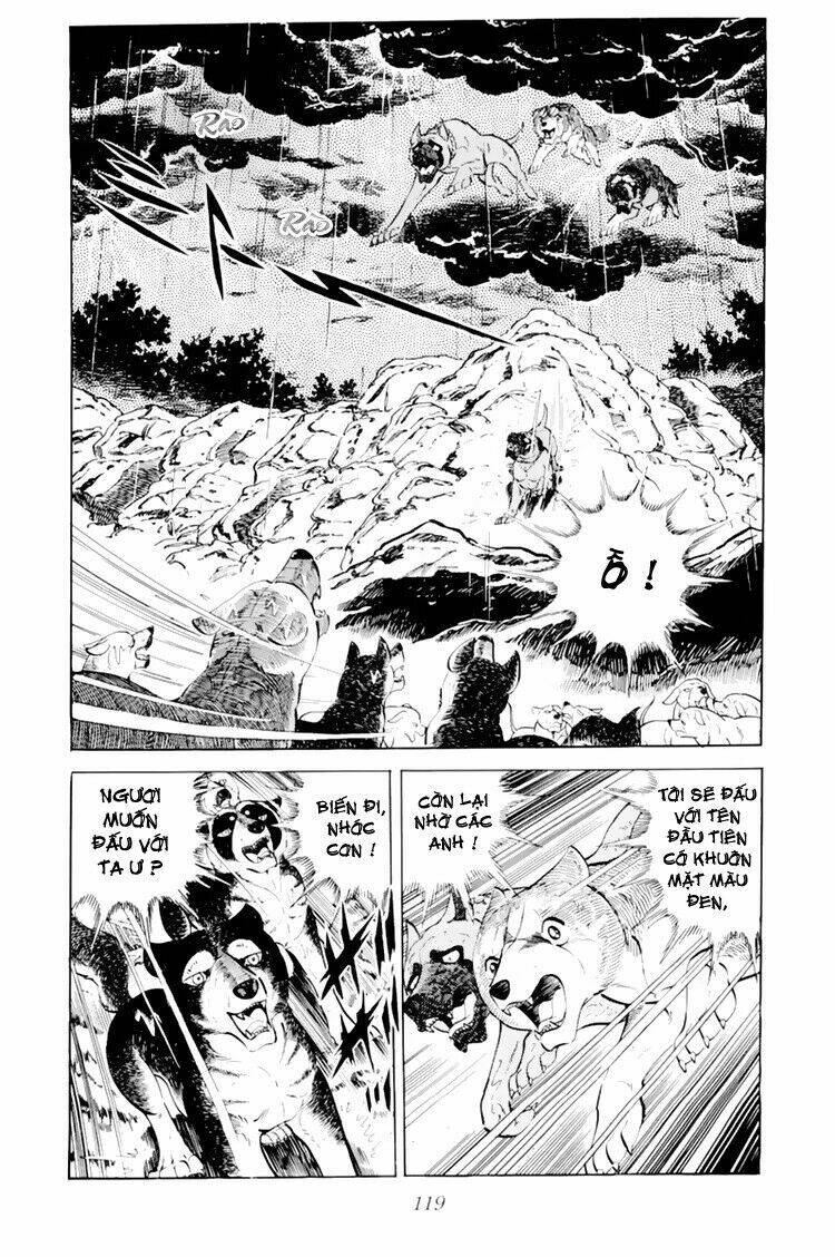 chú chó có nghĩa - ginga nagareboshi gin chapter 33.1 14