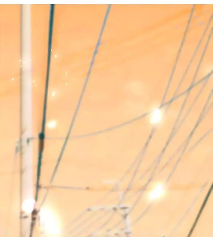 hoa chưa nở rộ chapter 10 45