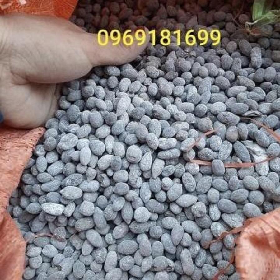 Phân dê đã qua xử lý