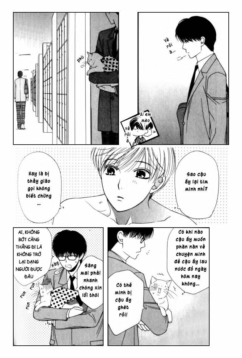 neko neko honey chapter 2 29