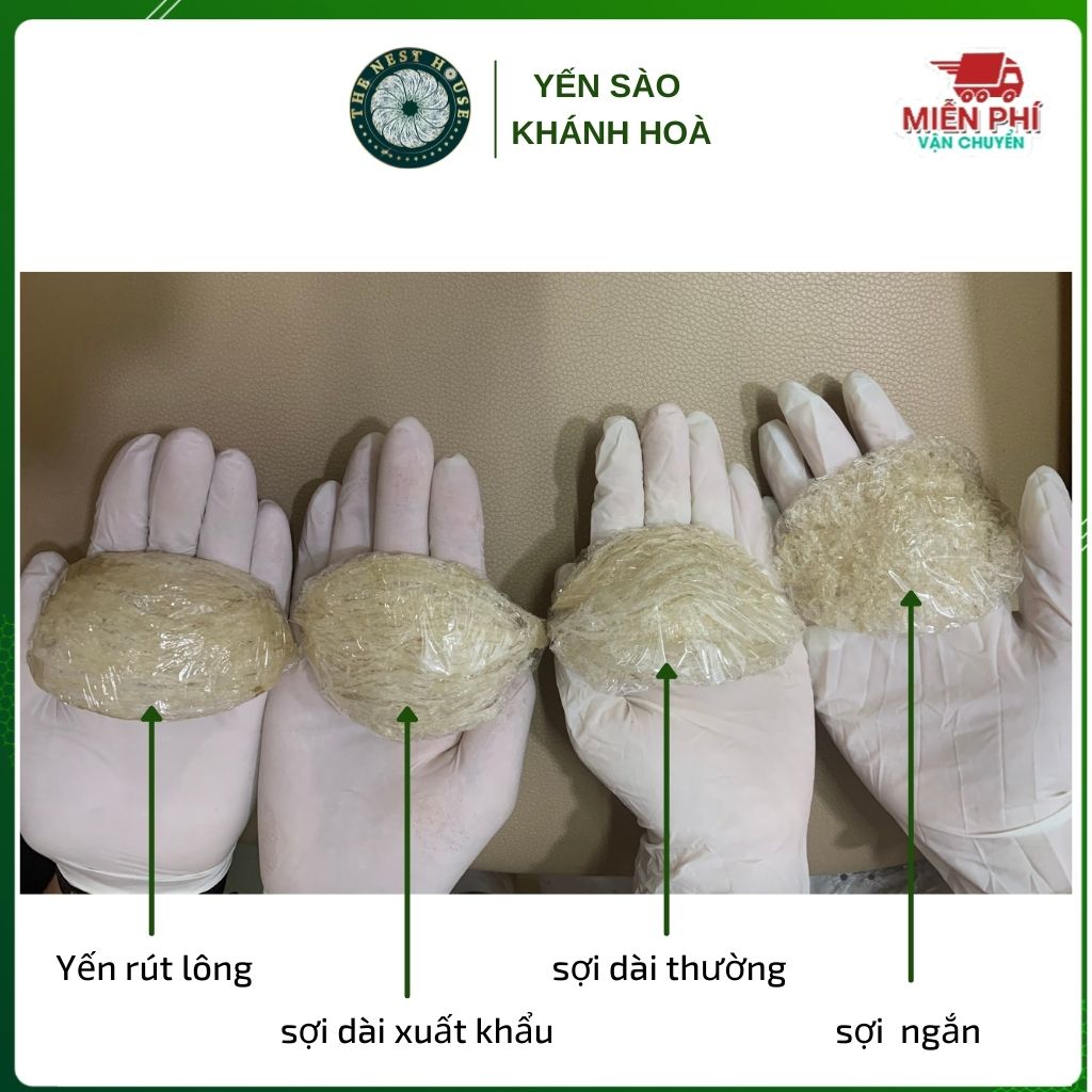 Yến rút lông nguyên tổ xuất khẩu - yến sào cao cấp The Nest House