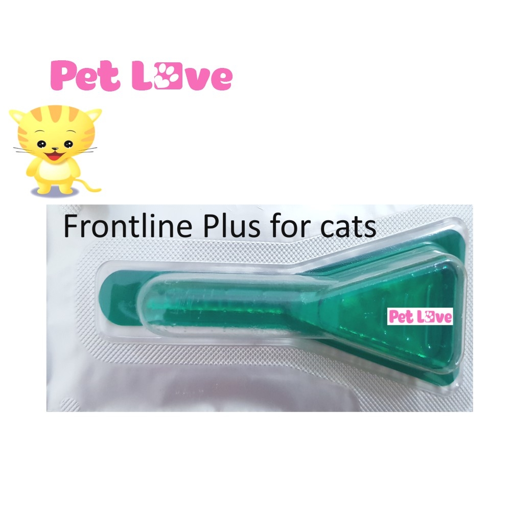 1 Tuýp Frontline Plus Nhỏ Gáy Trị Ve, Rận, Bọ Chét Trên Mèo