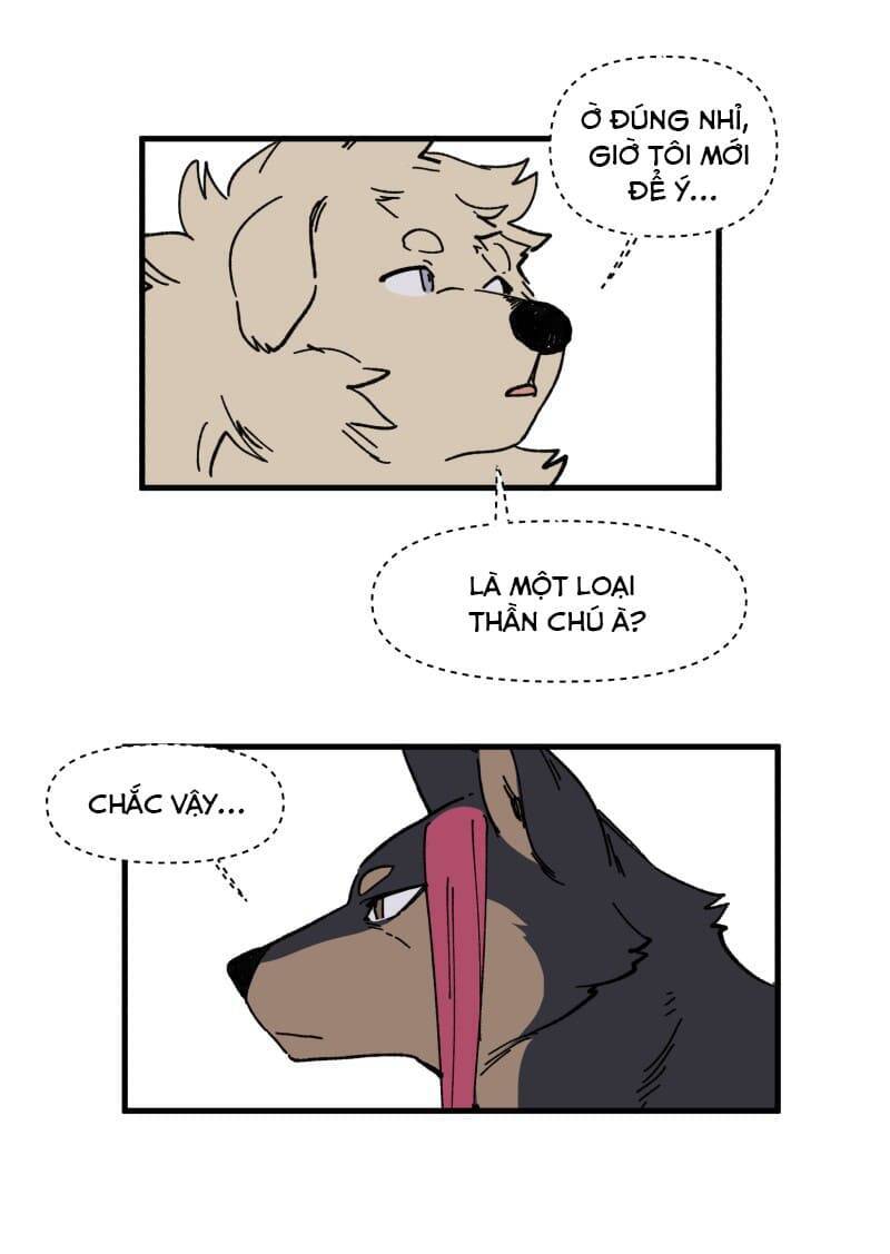 lumine - cội nguồn ánh sáng chapter 149 24
