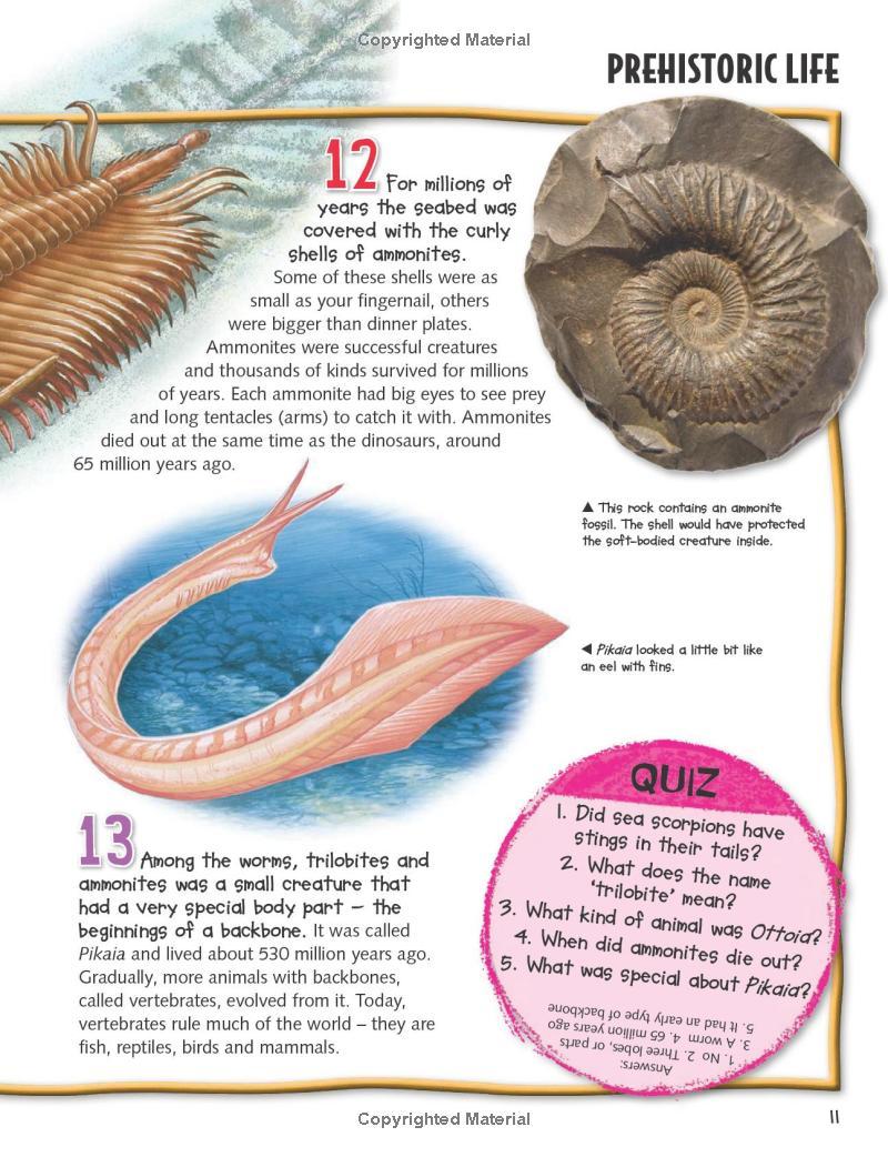 Sách ngoại văn: Wild About Dinosaurs