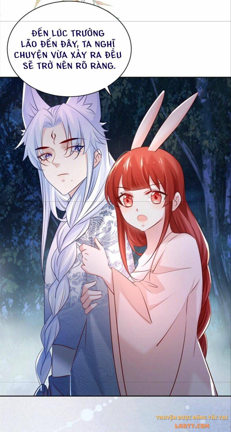 hắc hóa nam chính trực tuyến nuôi thỏ chapter 46 22