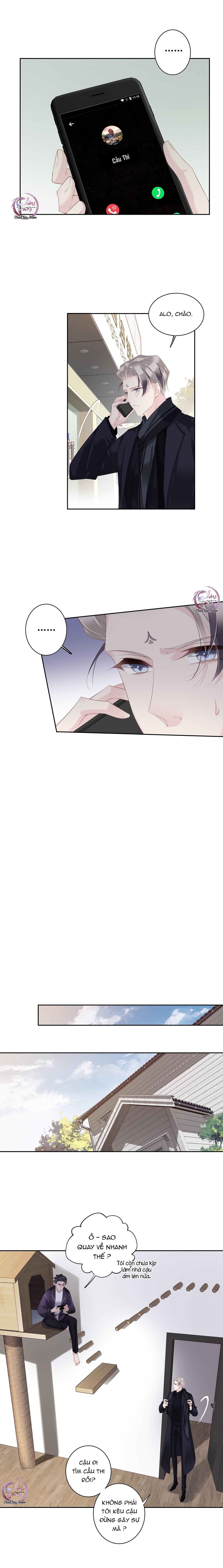 cuộc mai mối vượt giống loài chapter 16 2