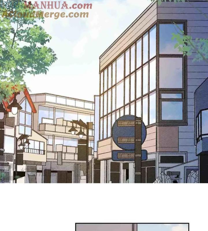 sau đêm ly hôn chapter 8 8