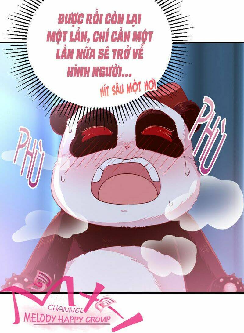 thiên thần gấu trúc muốn được ôm chapter 30 11