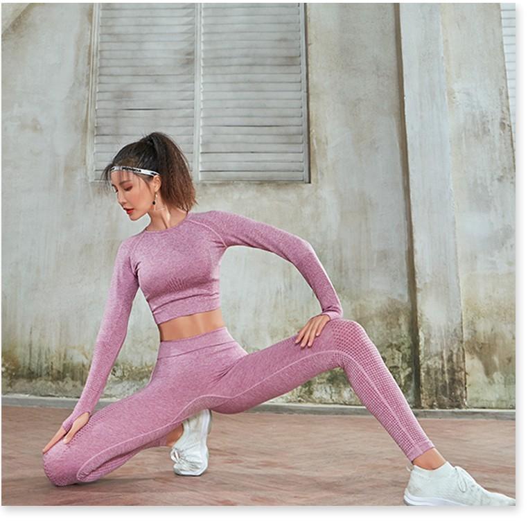 Set quần áo tập gym yoga và các môn thể thao tay dài chất liệu dệt siêu co giãn NTPL03