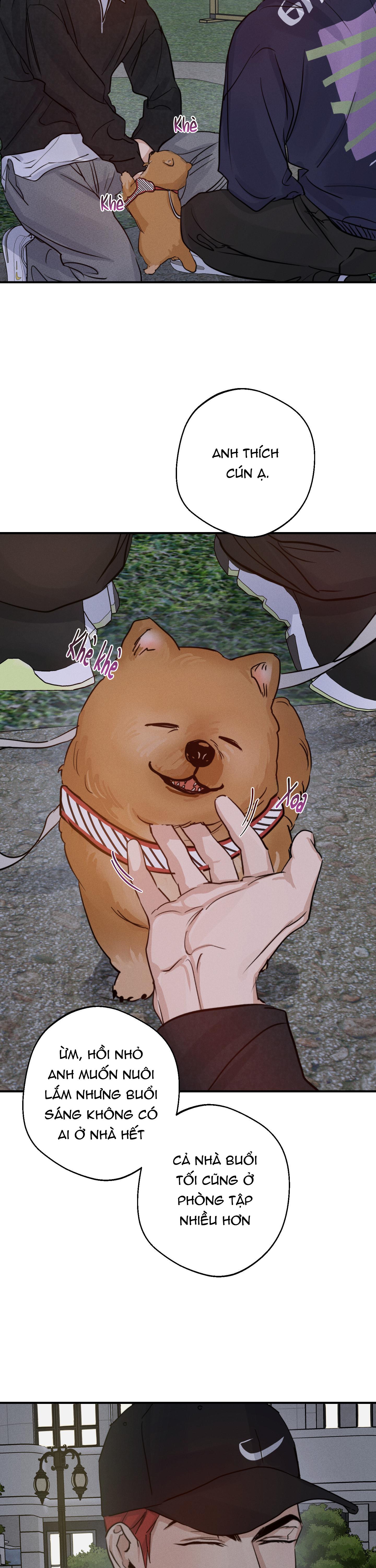 high clear chapter 26 8