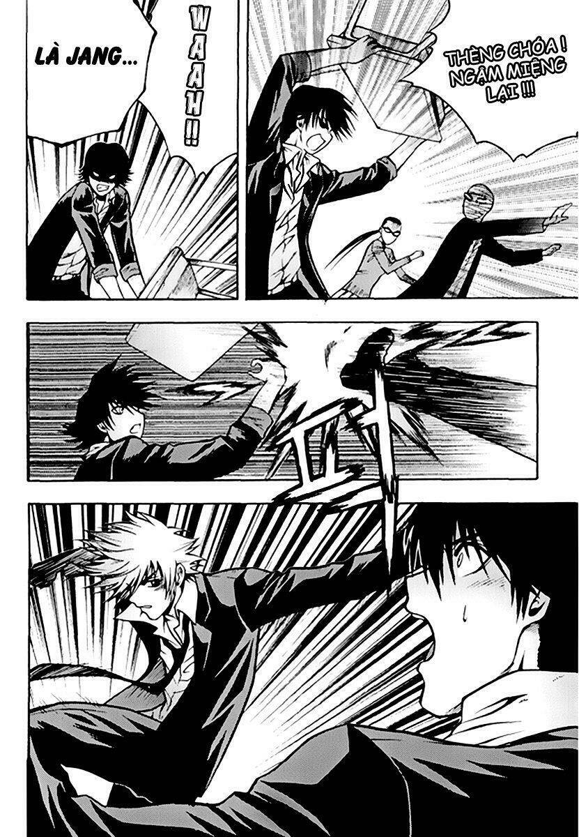 zippy ziggy chapter 51 13